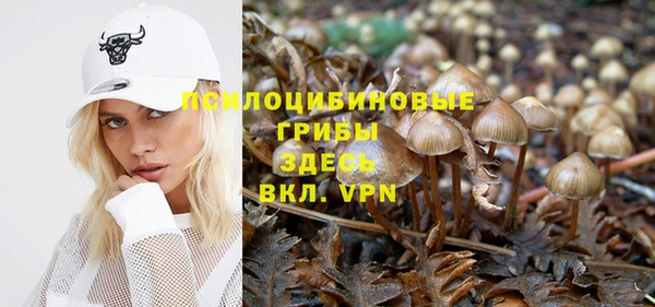 гашик Гусь-Хрустальный